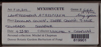 Image Associated With the Occurence